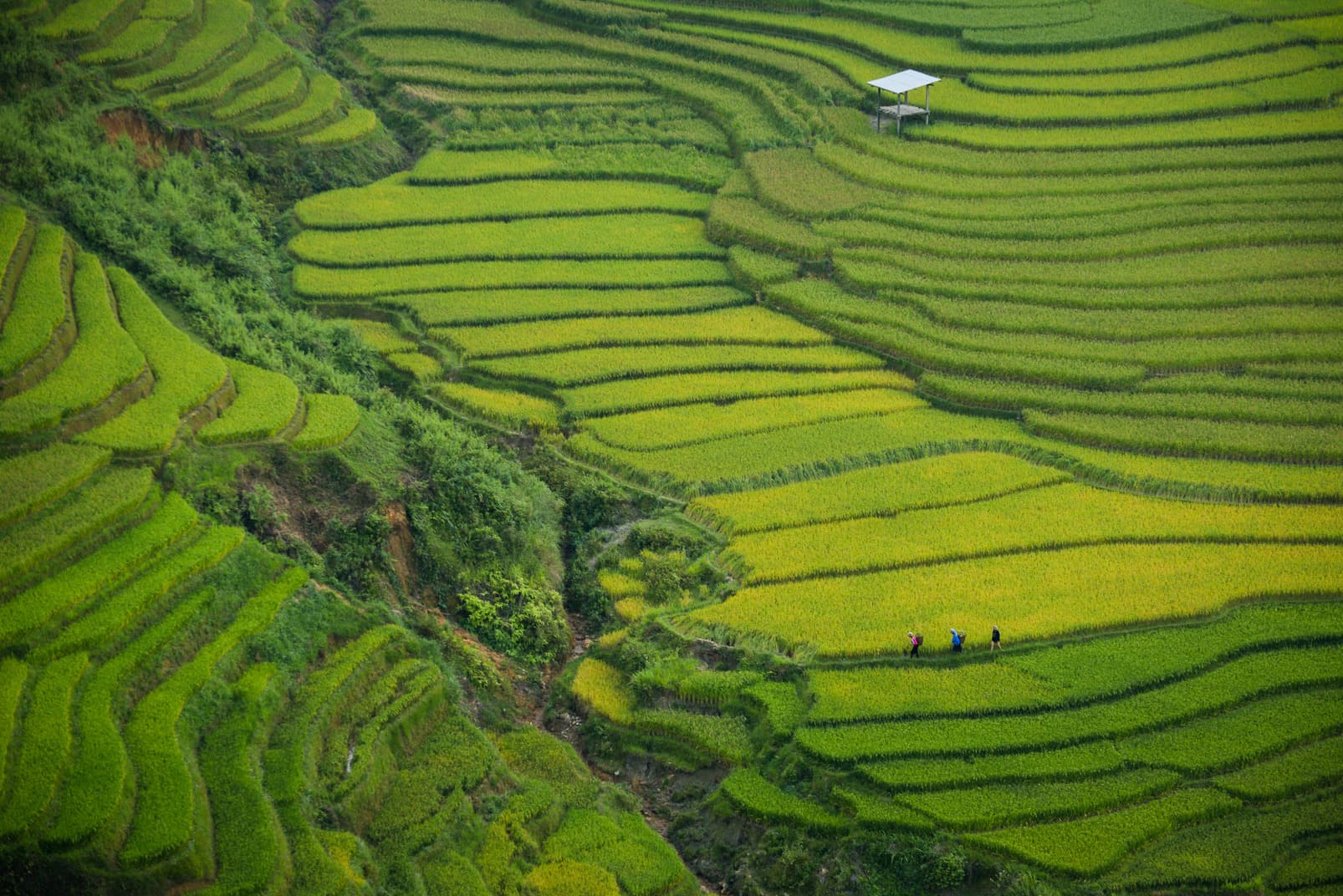 The Insect Farming - Organic Waste Hub