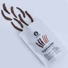 Chocolate Dipped Mealworms
