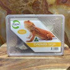 Live Cricket Tub