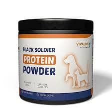 BSF Protein Powder